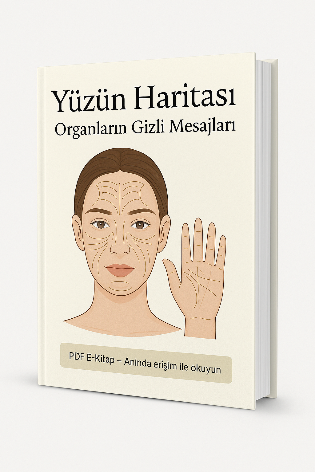 Yüzün Haritası- Organların Gizli Mesajları